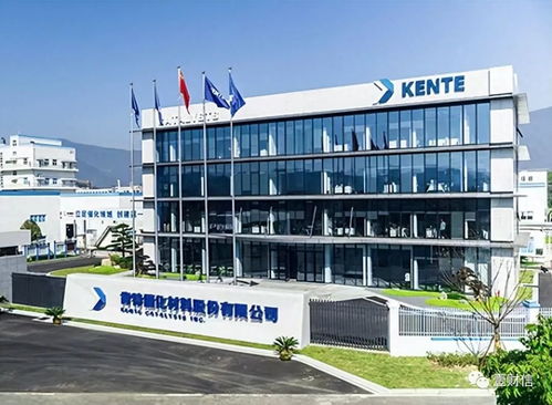 肯特催化戰(zhàn)略失衡 重銷(xiāo)售管理輕研發(fā)，技術(shù)開(kāi)發(fā)人員薪酬雙標(biāo)引關(guān)注